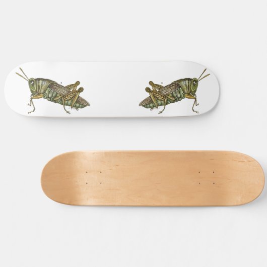 Grüne Grasshopper Skateboard (Horizontal)