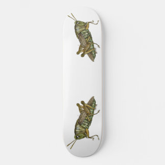 Grüne Grasshopper Skateboard