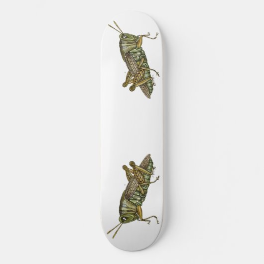 Grüne Grasshopper Skateboard (Vorderseite)