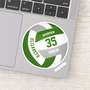 Grüne graue Mannschaft färbt Jungs Volleyball Aufkleber