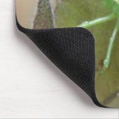 Grüne Grille auf der linken Mousepad (Ecke)