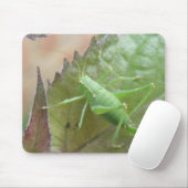 Grüne Grille auf der linken Mousepad (Mit Mouse)