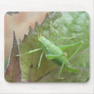 Grüne Grille auf der linken Mousepad