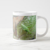 Grüne Grille auf der linken Tasse (Rechts)