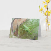 Grüne Grille auf einer linken Grußkarte Karte (Gelbe Blume)