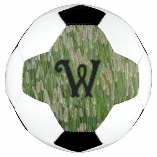 Grüne Großsaaten Fußball (Vorderseite)
