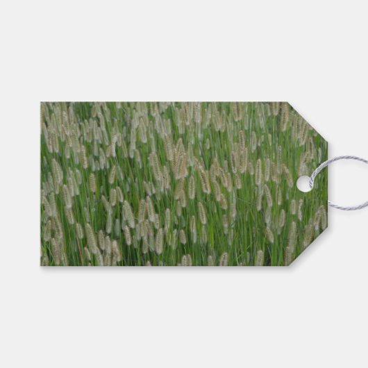 Grüne Großsaaten Geschenkanhänger (Vorderseite (Horizontal))