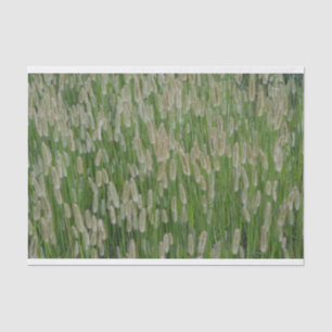 Grüne Großsaaten Seidenpapier