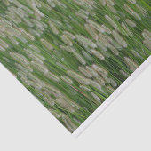 Grüne Großsaaten Seidenpapier (Ausschnitt)