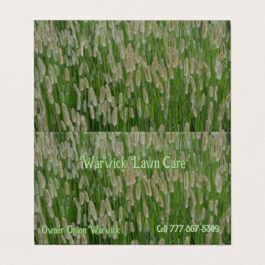 Grüne Großsaaten Visitenkarten (Außenseite Aufgefaltet)