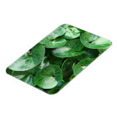 Grüne grüne Blätter für den europäischen Wildginge Magnet (Linke Seite)