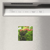 grüne grüne Pflanzenklammer Magnet (In Situ (Geschirrspüler))