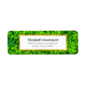 Grüne, grüne Tuchblüten mit Wassertropfen (Vorne)