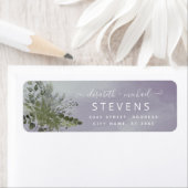 Grüne Grünpflanze des Lavendels (Insitu)