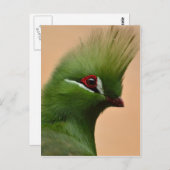 Grüne Guinea Postkarte (Vorne/Hinten)