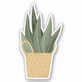 Grüne Hauspflanze in einem durchsichtigen Aufklebe Aufkleber