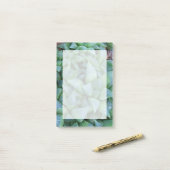 Grüne Haworthia Aufkleber für die Pflanze Post-it Klebezettel (Auf Schreibtisch)