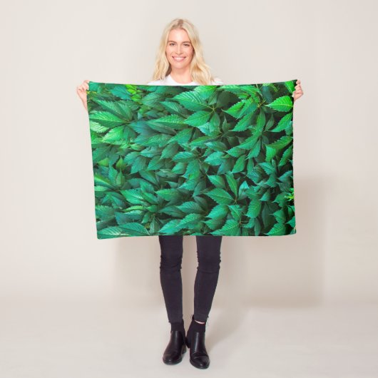 grüne Hecke Hintergrund Parthenocissus Muster Text Fleecedecke (Beispiel)