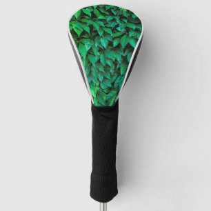 grüne Hecke Hintergrund Parthenocissus Muster Text Golf Headcover