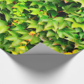 Grüne Hecken-Pflanze Geschenkpapier (Ecke)