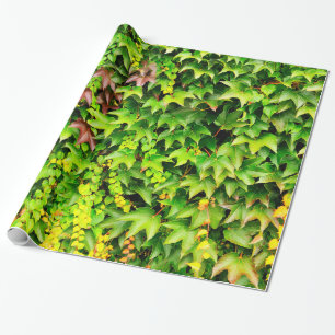Grüne Hecken-Pflanze Geschenkpapier
