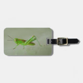 Grüne Heuschrecke Gepäckanhänger (Vorderseite horizontal)