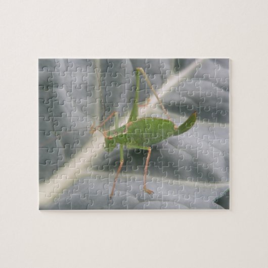 Grüne Heuschrecke Makro Puzzle (Horizontal)