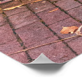 GRÜNE HOLZTÜR MIT GLAS POSTER (Ecke)