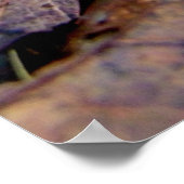 Grüne Hornhaut im Wald Poster (Ecke)