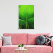 Grüne Hosta-Blätter Leinwanddruck (Insitu (Wohnzimmer))