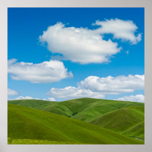 Grüne Hügel mit blauem Himmel und weißen Wolken Poster