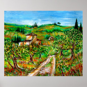 Grüne Hügel und Olivenbäume Toskana Landschaft Poster