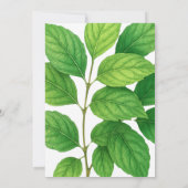 Grüne Hummingbird Leafy Botanische Hochzeit an der Einladung (Rückseite)