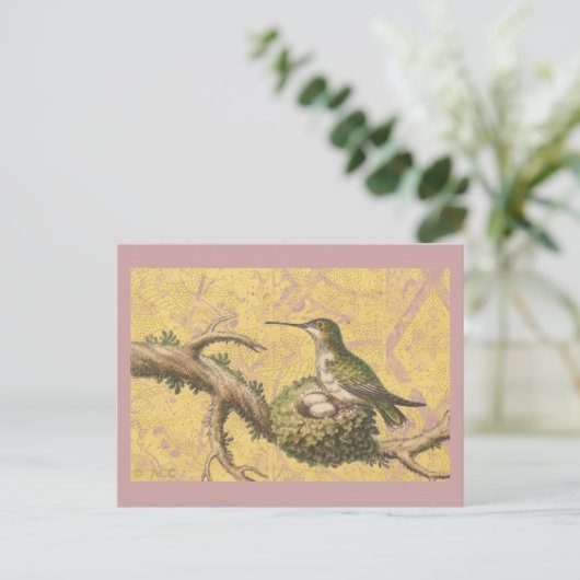 Grüne Hummingbird Nest Eggs Branch Postkarte (Stehend Vorderseite)