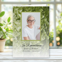 Grüne Hydrangea-Blumenbeerdigung geklappt