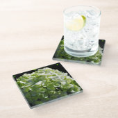 Grüne Hydrangeas-Blume Glasuntersetzer (Schrägansicht)