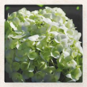 Grüne Hydrangeas-Blume Glasuntersetzer