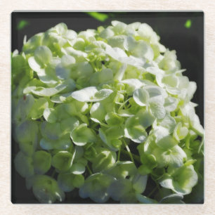 Grüne Hydrangeas-Blume Glasuntersetzer