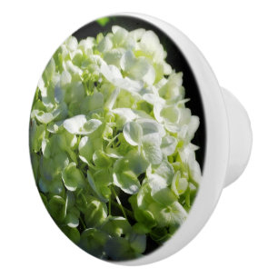 Grüne Hydrangeas-Blume Keramikknauf