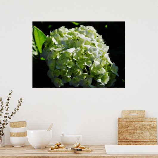 Grüne Hydrangeas-Blume Poster (Küche)