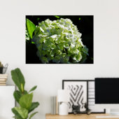 Grüne Hydrangeas-Blume Poster (Heimbüro)