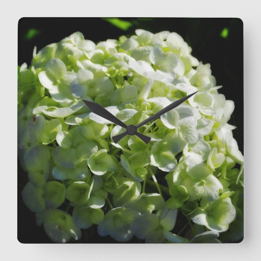 Grüne Hydrangeas-Blume Quadratische Wanduhr (Vorderseite)
