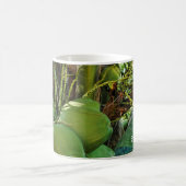 Grüne Insel Kokosnüsse Palme Tree Kaffeetasse (Mittel)