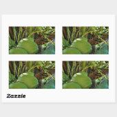 Grüne Insel Kokosnüsse Palme Tree Rechteckiger Aufkleber (Blatt)