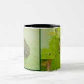 Grüne Juni-Käfer-Tasse Zweifarbige Tasse (Mittel)