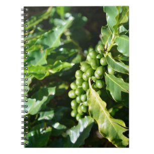 Grüne Kaffeebeeren Notizbuch Notizblock