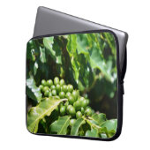 Grüne Kaffeeberries Laptopschutzhülle (Vorderseite Links)