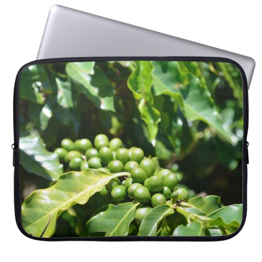 Grüne Kaffeeberries Laptopschutzhülle (Vorderseite)