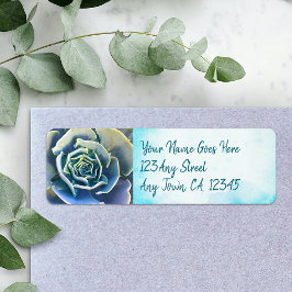 Grüne Kakteen, sukkulentes Foto mit stilvollem Chi