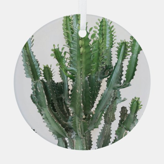 Grüne Kaktus: Minimalistischer weißer Hintergrund Ornament Aus Glas (Rückseite)